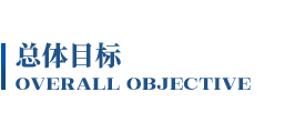 总体目标